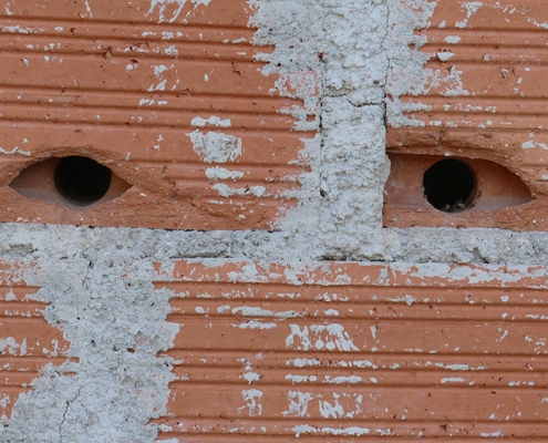 t The eyes of the beholder