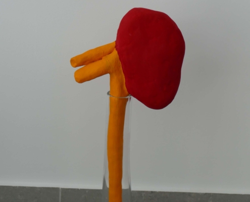 Kindey flower (ceramic and glass)