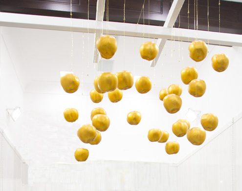 golden apples of Esperides